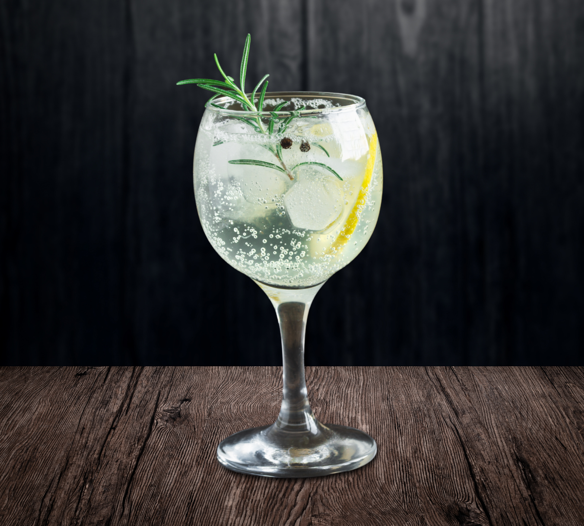 Gin Tônica Gourmet